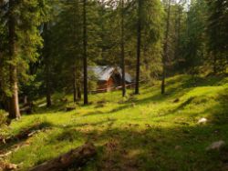 2013-07-20_Regina-F-Rau_Kochel-Rabenkopf (368).JPG